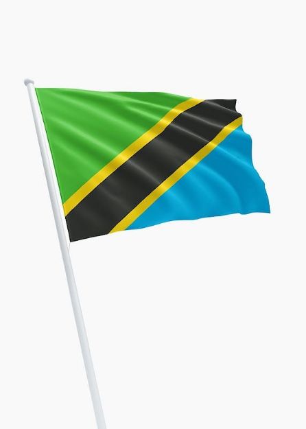 Vlag Tanzania - 150x225cm Spun-Poly